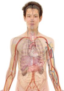 看護師が30代で転職する際の教育充実の探し方は？