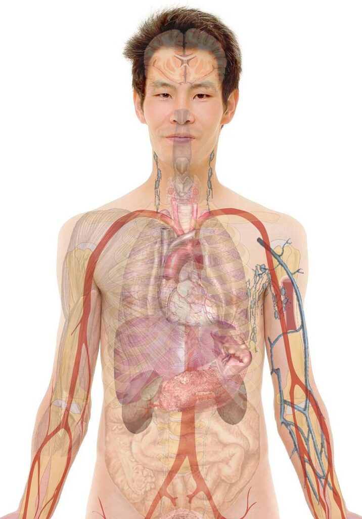 看護師が30代で転職する際の教育充実の探し方は？